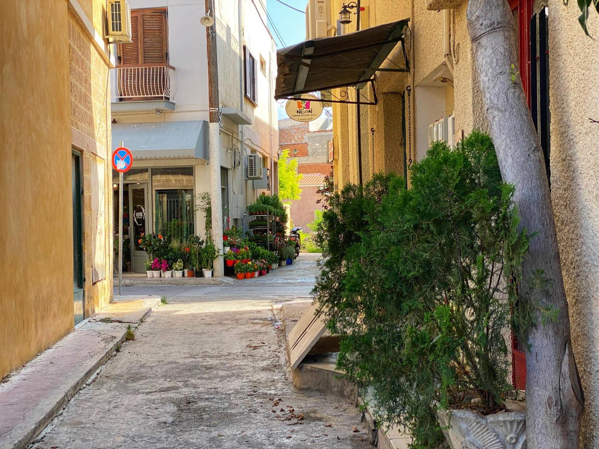 Nasos Aegina Apartment Eksteriør bilde